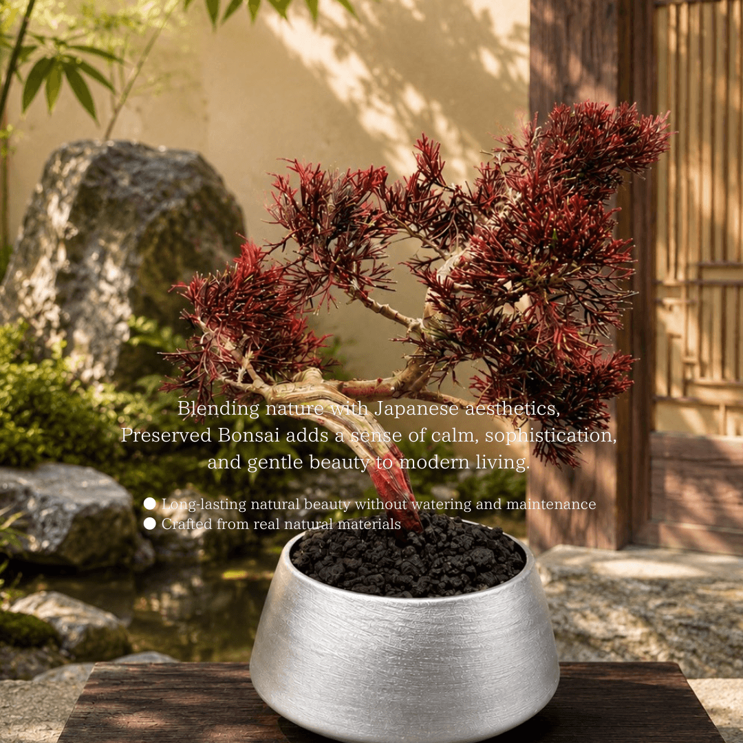 Crimson preserved bonsai in a silver pot in a Japanese garden