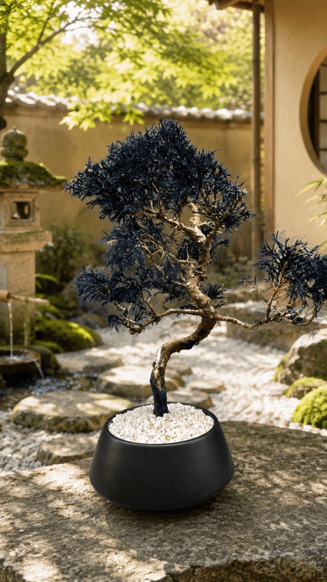 Deep indigo preserved bonsai in a Japanese garden